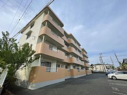 デイブレイク 305