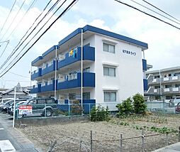 松下細島ライフ 303