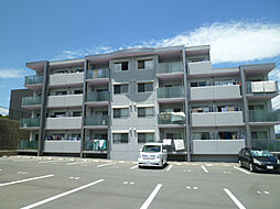 シャルマンIII 405