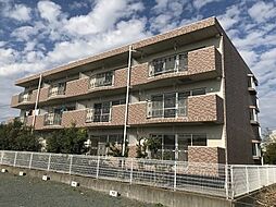 ビューしじみの森 1B