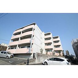 エバーグリーン21 305