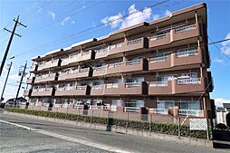 サンフラワーIII 401