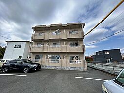 ルネッサンス9 202