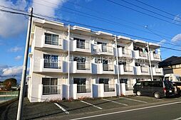 パンダハウス 107