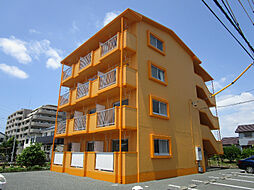 プロスパー初生 102