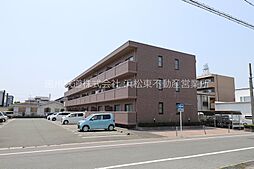 サザンスター 207