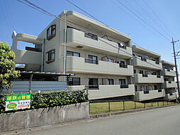 エクセル・パル 205