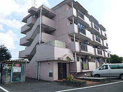 シャトー富ヶ丘 203