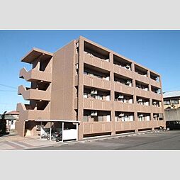 シーダーナイン 405