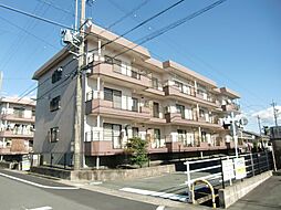 ハイクレストサンシャインI 101