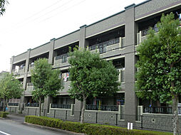 グライス武藤 205