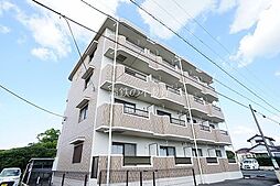 サンデリアーナムーン 305