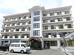 アーバンシティ上浅田 203