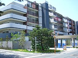 レクセル浜松弁天島（303） 303