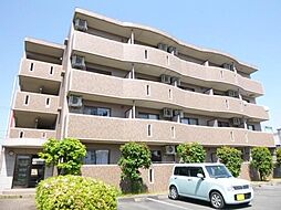 アポロミレニア 303