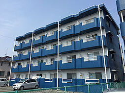 ライブ小島II 206