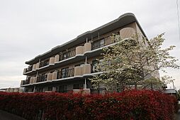 メゾン・プレメール 203