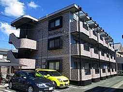 ラルフローレI 203