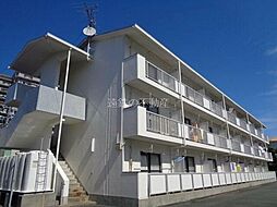 ロイヤルシングル 25