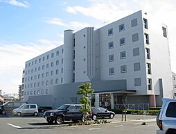 ブライティ助信 411