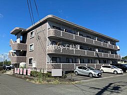 ベルティストン 305