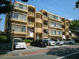 コンチェルト 101