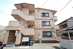 コリンシアン 305