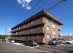 LUMIUS SANARUDAI 305