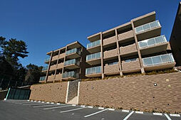 リーベンハイム・カガ 401