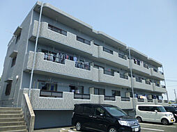 ラ・プリマベーラ 203