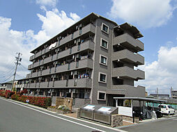 エコパビュー 301