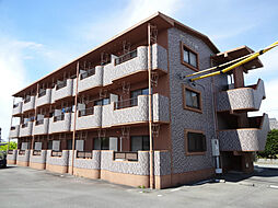 サンライズM 103