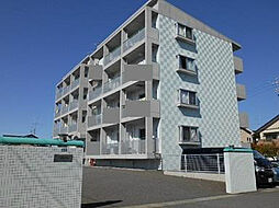 アザレア 103