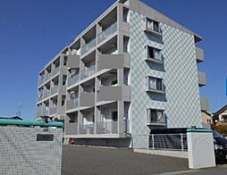 アザレア 405
