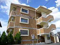 Via Lattea 203