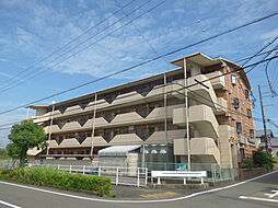 ルイボステーI 105