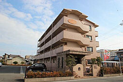 Sweet Hills 305