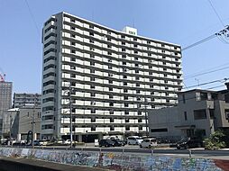 ライフ・イン・サーラ 803