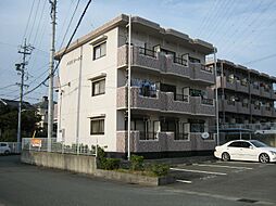 パストラーレII 203