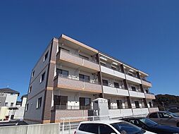 プリムローズ 102