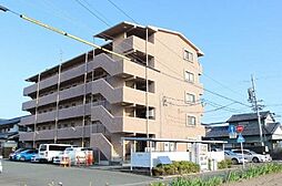 エザンス 101
