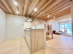 朝日プラザ末吉橋　駅徒歩1分・フルリフォーム済み 1003