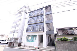 B、z Stage 8 502