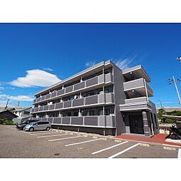 アヴァンティ 305