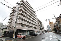 コートシャンベル 502