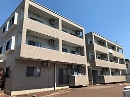 アーリーバード 305