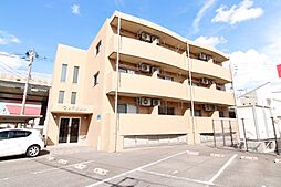 ウッドソレル 301