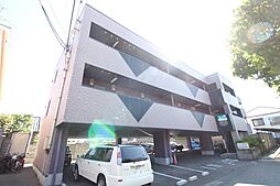 パフィオ 213