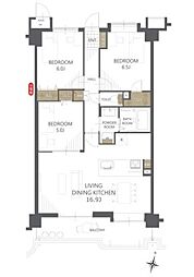 ダイアパレス女池