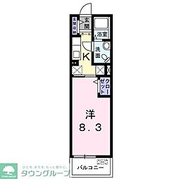 カーサ・コルソ 204